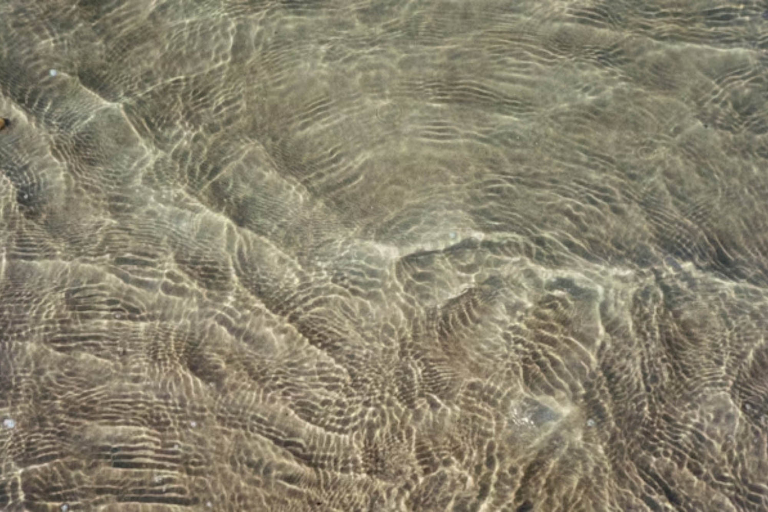 We are B-Corp Certified