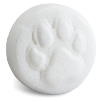 Gee Your Dog Smells Terrific