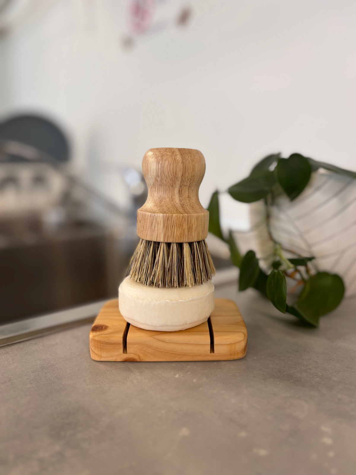 Sisal & Palm Dish Brush