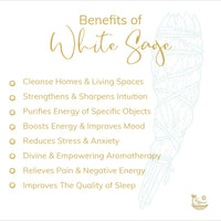 White Sage Bundles - 4 inch